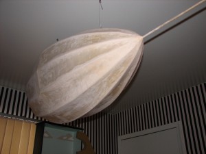 IMG_0003