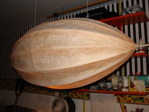 IMG_0003